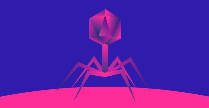  bacteriophage